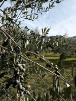 /album/galleria-di-foto/whatsapp-image-2025-10-12-at-15-24-48-jpeg/